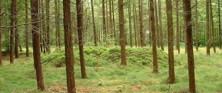 Broxa Forest Iron Age Square Barrow