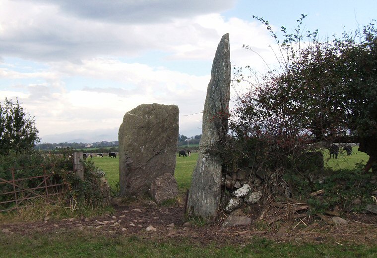 Bryn Gwyn standing stones