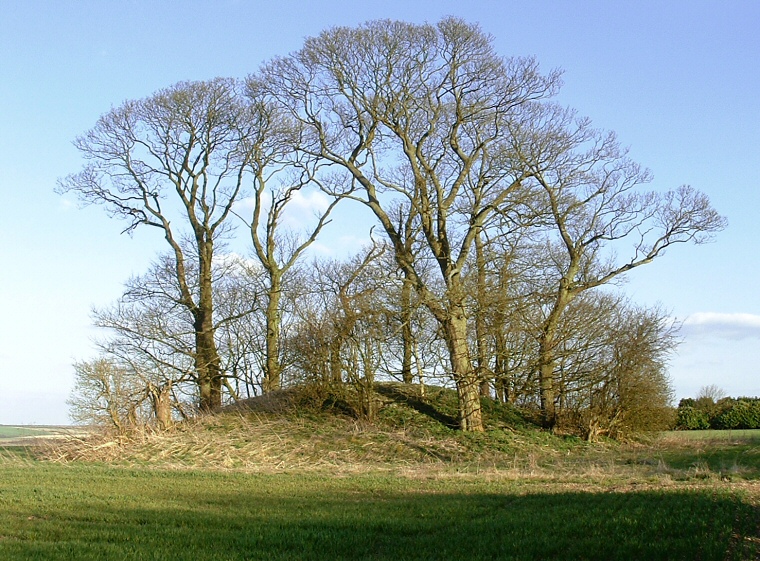 Bully Hill Round Barrow - Tealby