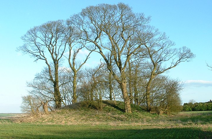 Bully Hill Round Barrow - Tealby