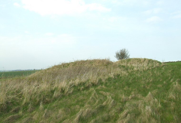 Bully Hills  - Barrows 5 and 6