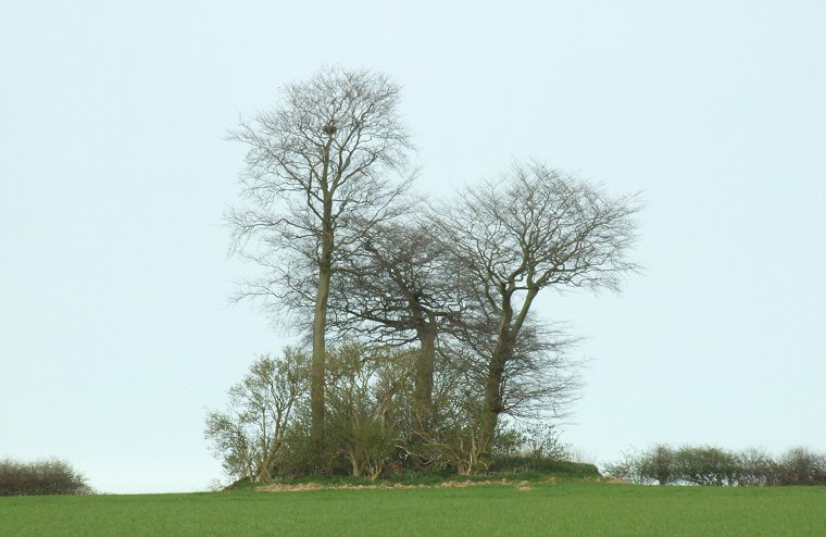 Bully Hills  - Barrow 7