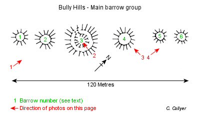 Plan of Bully Hills