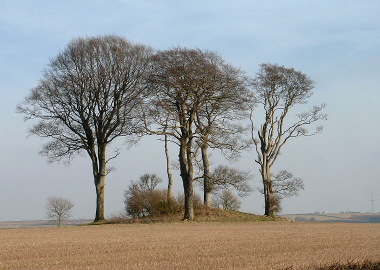 Burgh on Bain Long Barrow