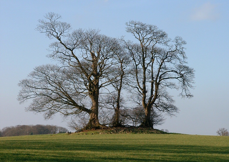 Another of the Burgh on Bain Round Barrows