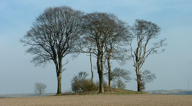 Burgh on Bain Long Barrow