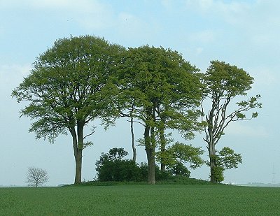 Burgh on Bain Long Barrow