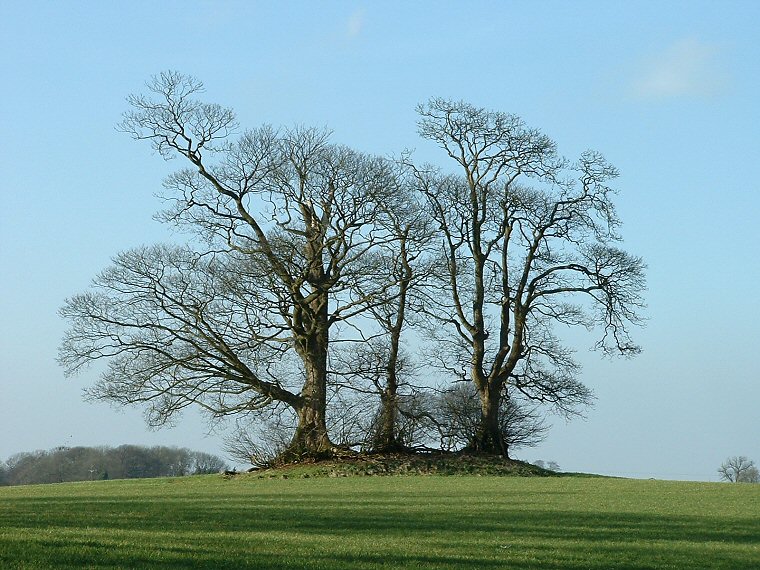 Another of the Burgh on Bain Round Barrows