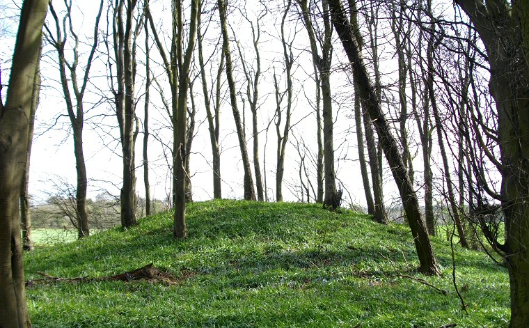 Burwell Woods - southeastern barrow