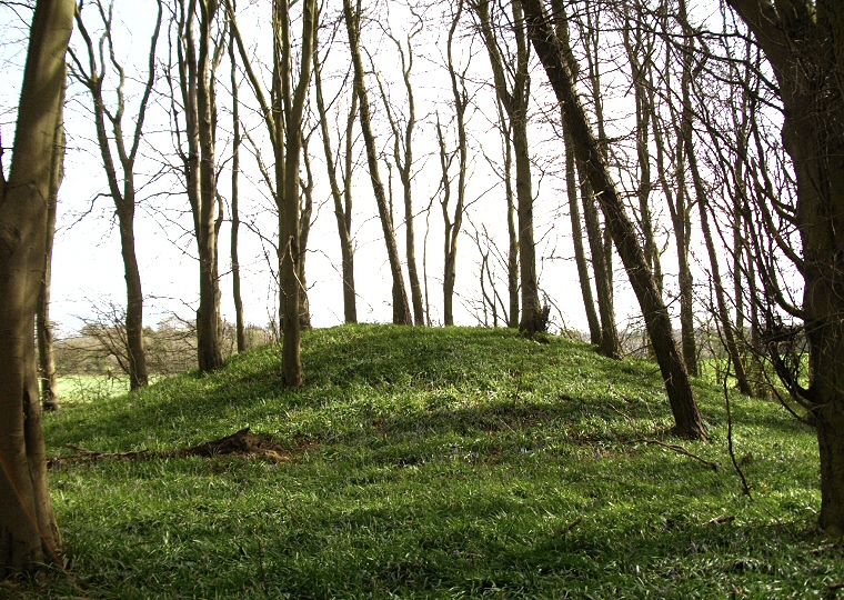 Burwell Woods - southeastern barrow