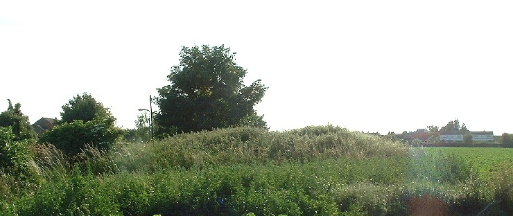 Butt Mound looking west 