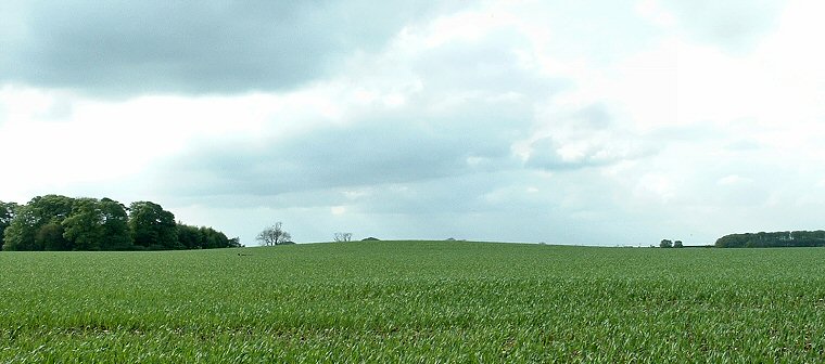 Callis Wold round barrow