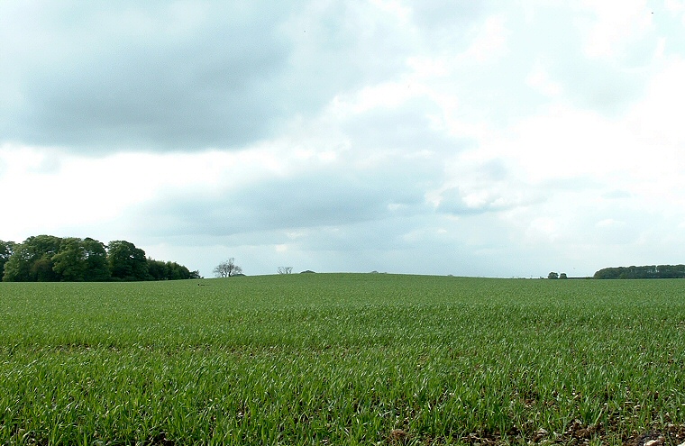 Callis Wold round barrow