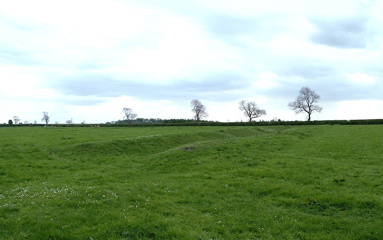 Section of earthwork at Callis Wold