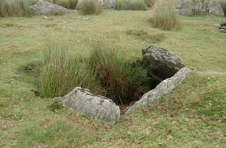 Carn Llechart Cist