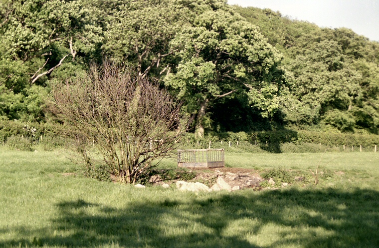 Cefn Meiriadog / Tyddyn Bleiddyn Chambered Cairn Remains