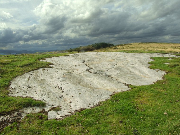 Chatton Panel 1a - view of the whole rock