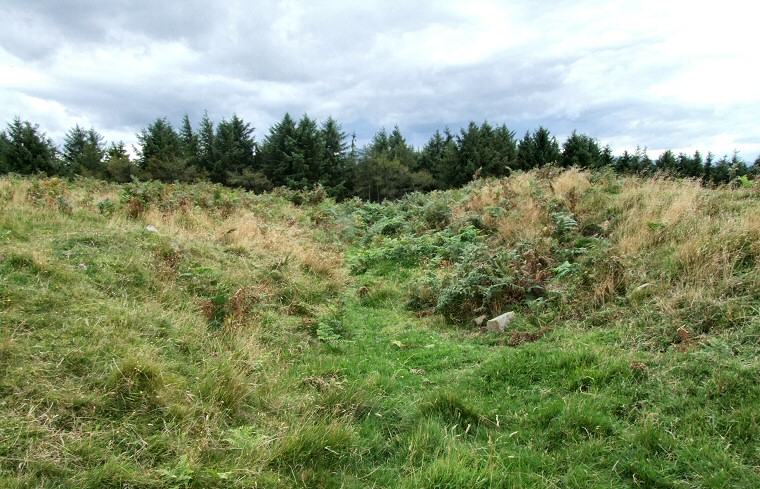 Chatton Enclosed Settlement Site banks and ditch
