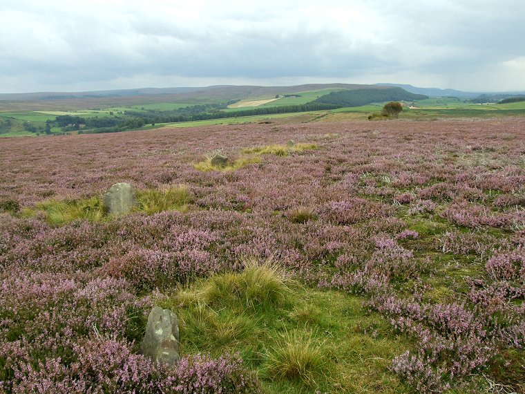 Commondale - southern stones of the circle