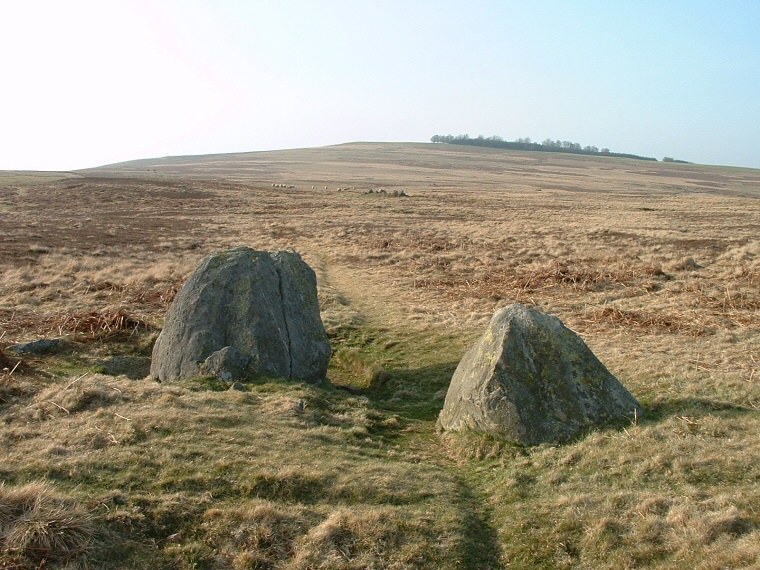 Stone Alignment northwest of the Cop Stone