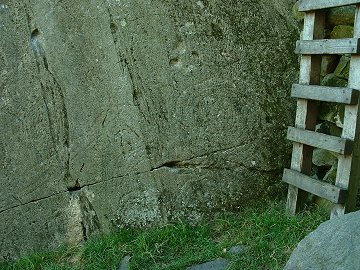 Copt Howe Carvings Close-Up