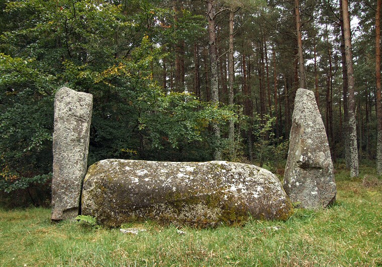 Cothiemuir Wood recumbent setting inner view