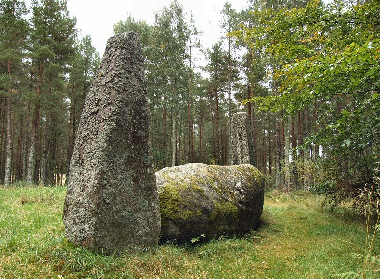 Cothiemuir Wood recumbent setting outer view