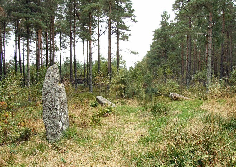 Stones of the western arc of the circle