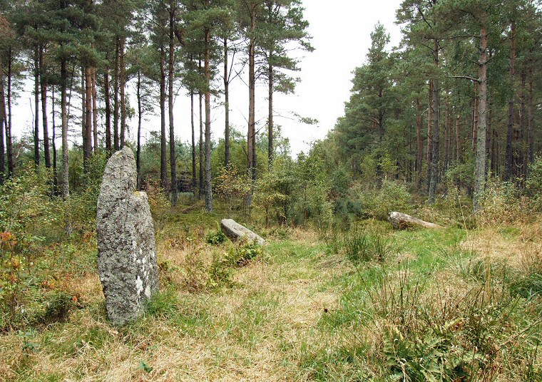 Stones of the western arc of the circle