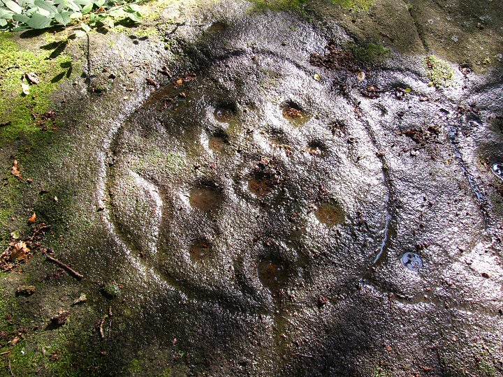 Cottingley Wood carved rock detail