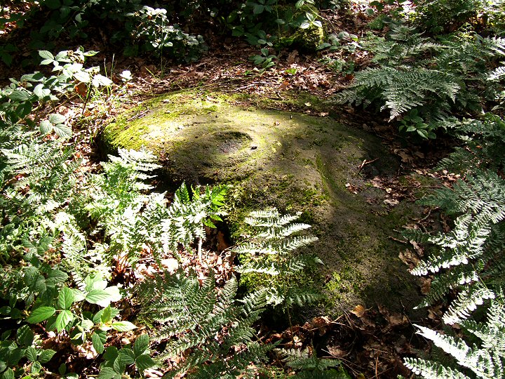 Cottingley Wood cup and ring marked rock