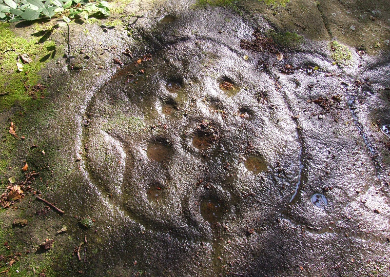 Cottingley Wood carved rock detail