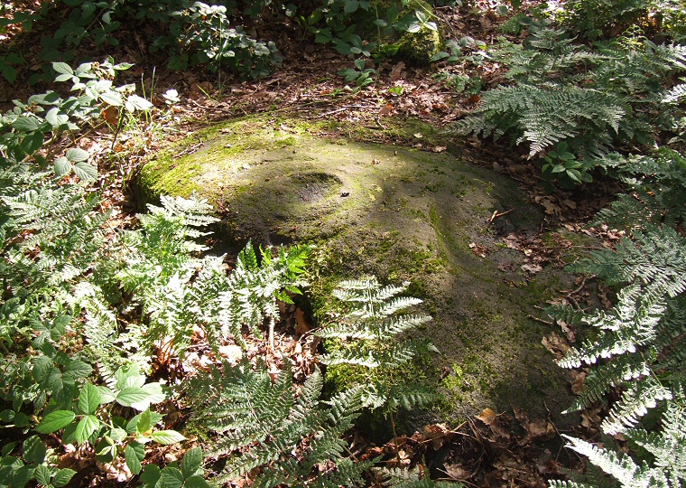 Cottingley Wood cup and ring marked rock