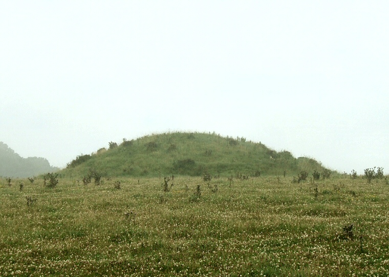 Culliford Tree Group Round Barrows