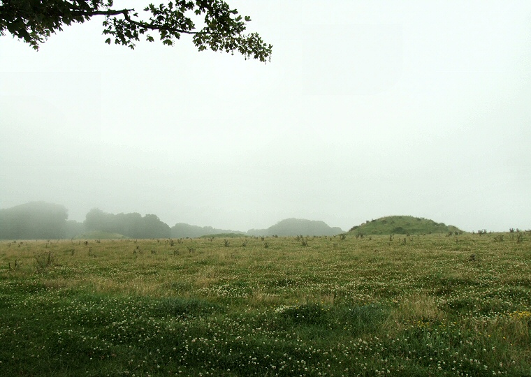 Culliford Tree Group Round Barrows