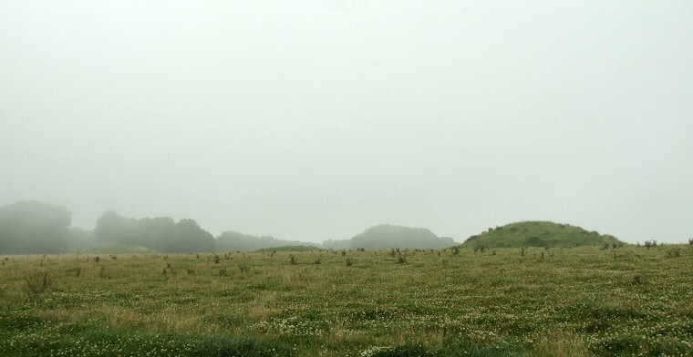 Culliford Tree Group Round Barrows