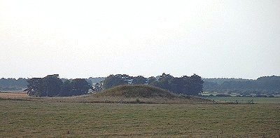 Stonehenge Cursus Group Barrows - Looking North