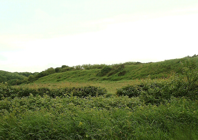 Dane's Dyke - Central Section