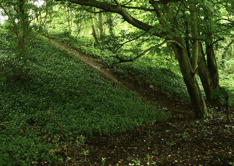 Dane's Dyke - Southern End