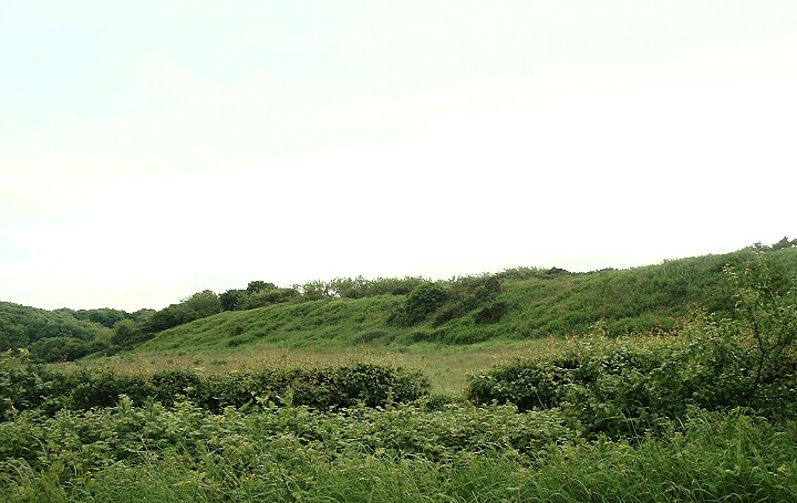 Dane's Dyke - Central Section