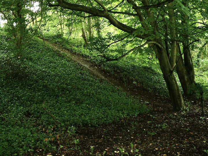 Dane's Dyke - Southern End