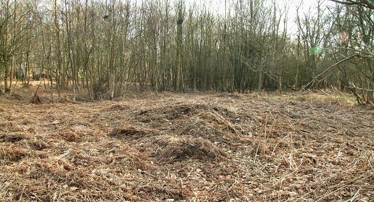 Danes Hills square barrow mound at SE64873766