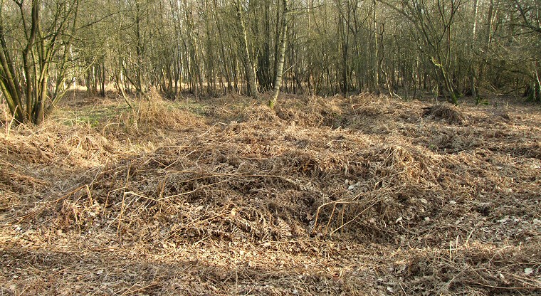 Danes Hills square barrow
