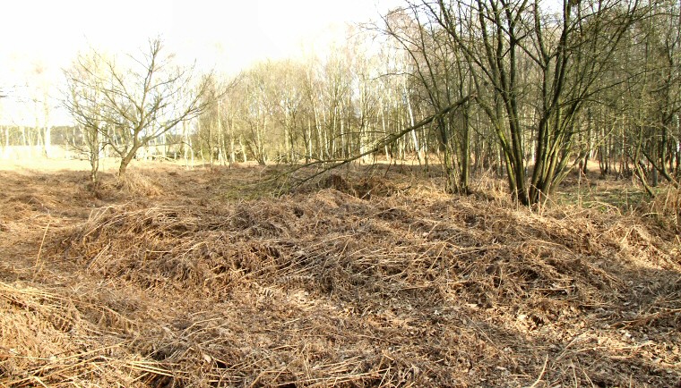 Danes Hills square barrow