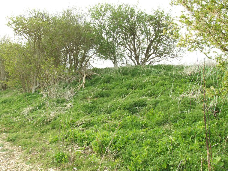 Deadmen's Graves I looking northwest