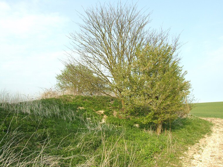 Deadmen's Graves I looking northeast