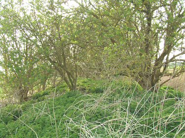 Deadmen's Graves I - spine of the barrow