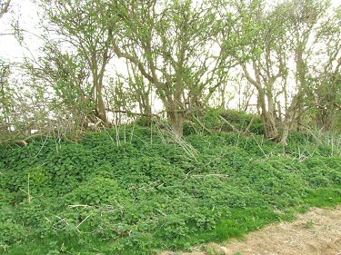 Deadmen's Graves II looking southwest