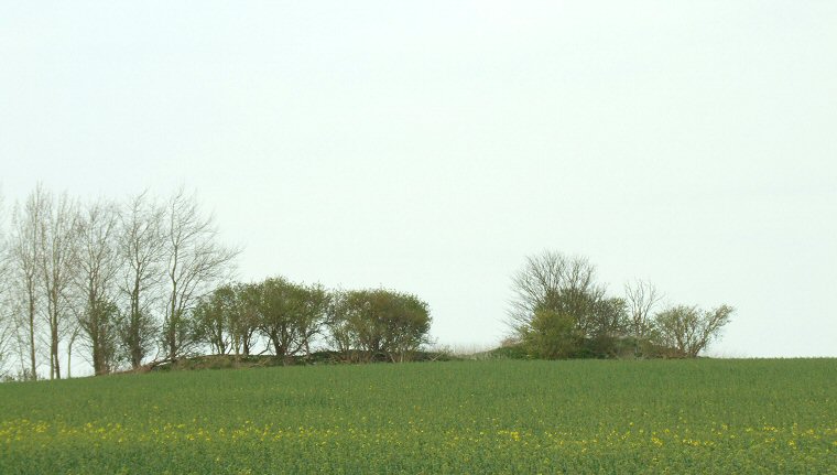 View of Deadmen's Graves I looking north