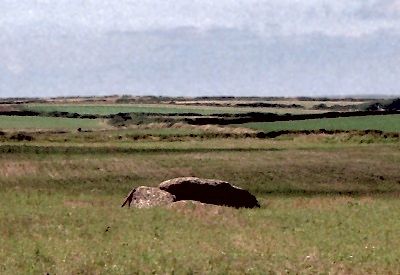 Devil's Quoit Chambered Tomb